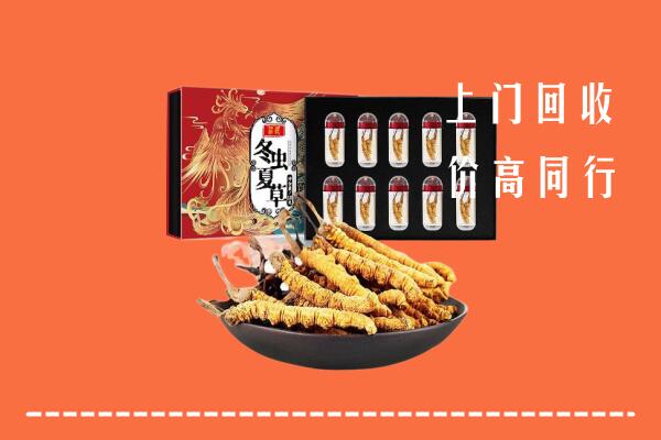 附近收购：阜新回收虫草